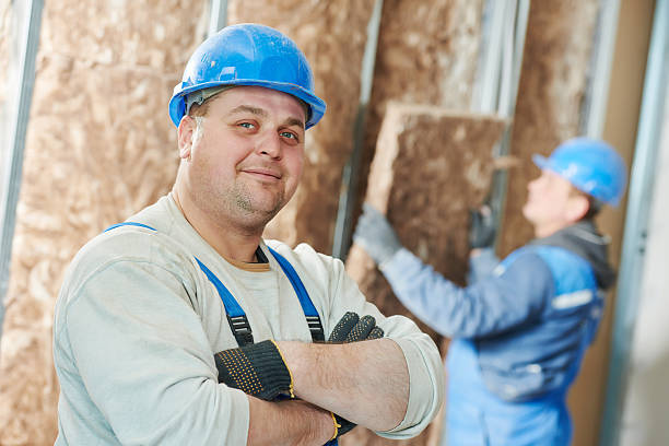 Best Energy Efficiency Insulation in Bolingbrook, IL